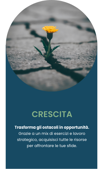 Crescita Mobile